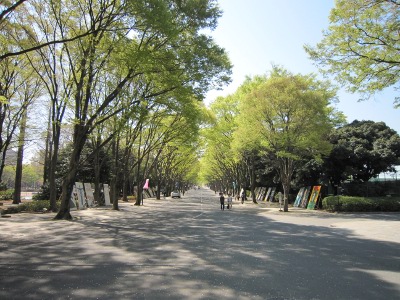the main street in the Shonan Campus
